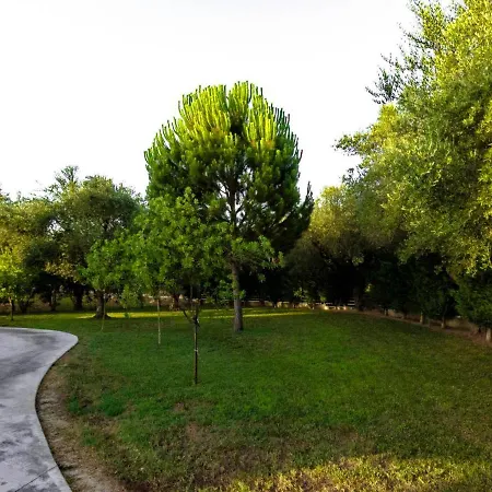 Rouveli With Private Garden And Barbeque וילה טרגקי